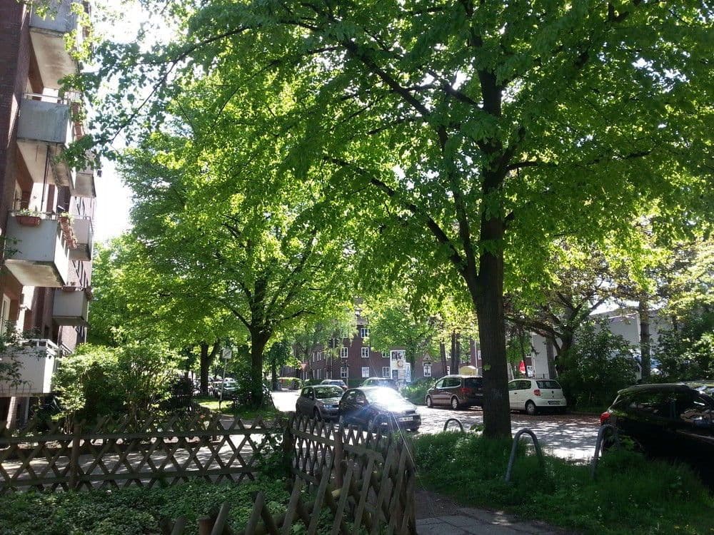 Pronájem bytu 2+1 60 m², Hamburg, Hamburg Pronájem bytu 2+1 60 m², Hamburg, Hamburg