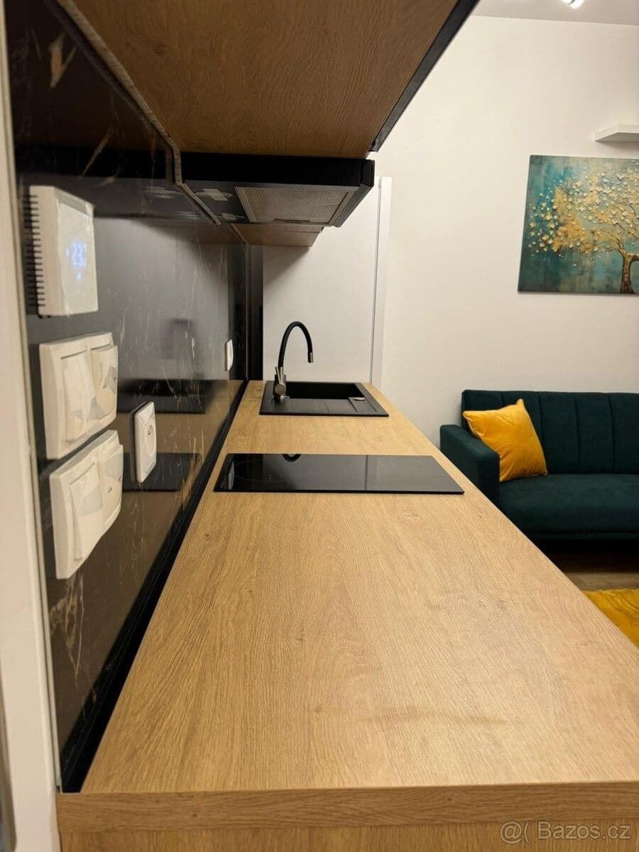 Pronájem bytu 1+kk 42 m², Olgy Havlové, Praha, Praha Pronájem bytu 1+kk 42 m², Olgy Havlové, Praha, Praha