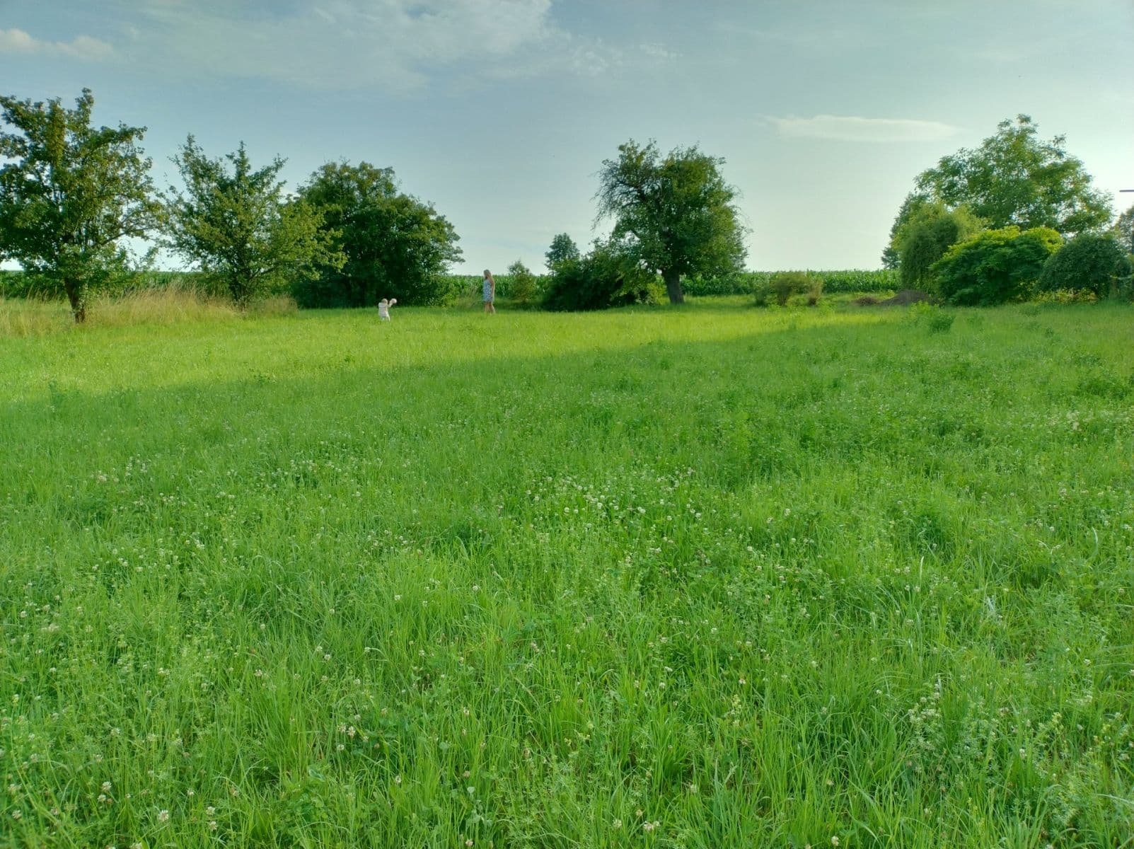 Prodej pozemku 1.575 m², Střevač, Královéhradecký kraj Prodej pozemku 1.575 m², Střevač, Královéhradecký kraj