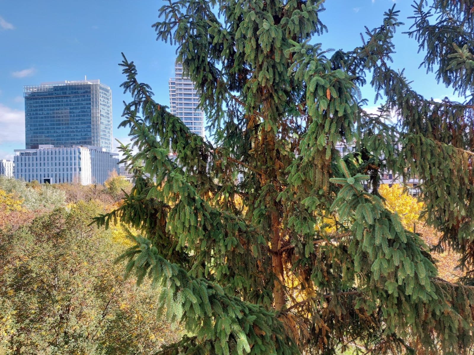 Pronájem bytu 3+kk 56 m², Kaplická, Praha, Praha Pronájem bytu 3+kk 56 m², Kaplická, Praha, Praha