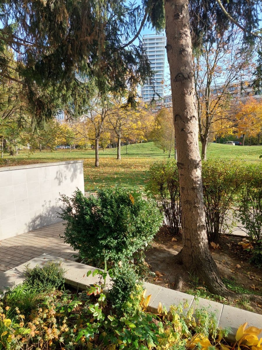 Pronájem bytu 3+kk 56 m², Kaplická, Praha, Praha Pronájem bytu 3+kk 56 m², Kaplická, Praha, Praha