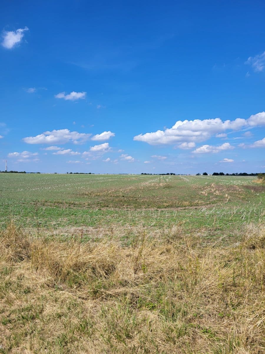 Prodej pozemku 3.488 m², K Dubečku, Praha, Praha Prodej pozemku 3.488 m², K Dubečku, Praha, Praha