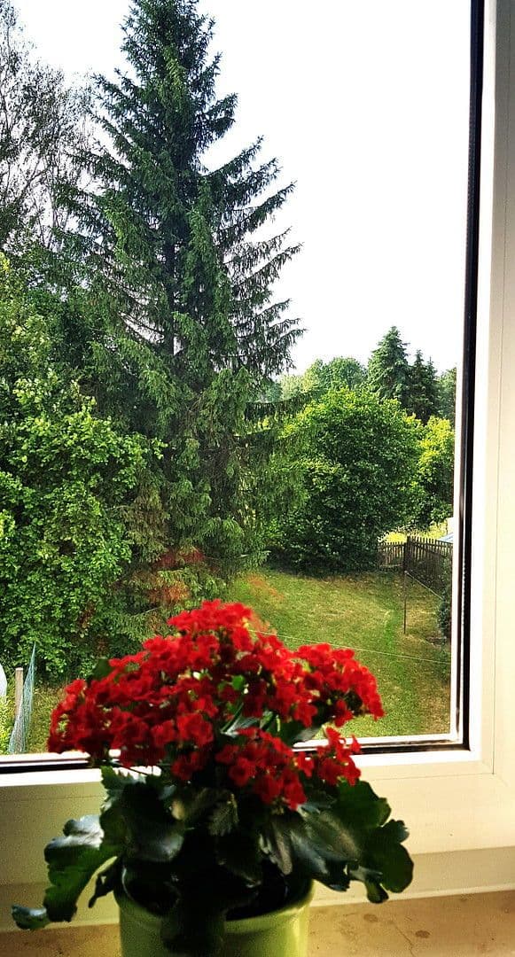 Pronájem bytu 4+1 85 m², Bischofswerda, Sasko Pronájem bytu 4+1 85 m², Bischofswerda, Sasko