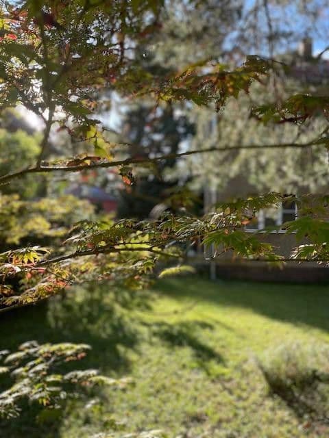 Prodej domu 90 m², pozemek 450 m², Berlin, Berlín Prodej domu 90 m², pozemek 450 m², Berlin, Berlín