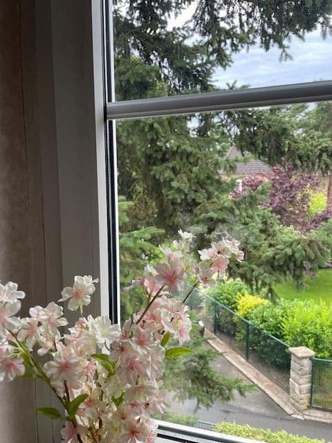 Prodej domu 90 m², pozemek 450 m², Berlin, Berlín Prodej domu 90 m², pozemek 450 m², Berlin, Berlín