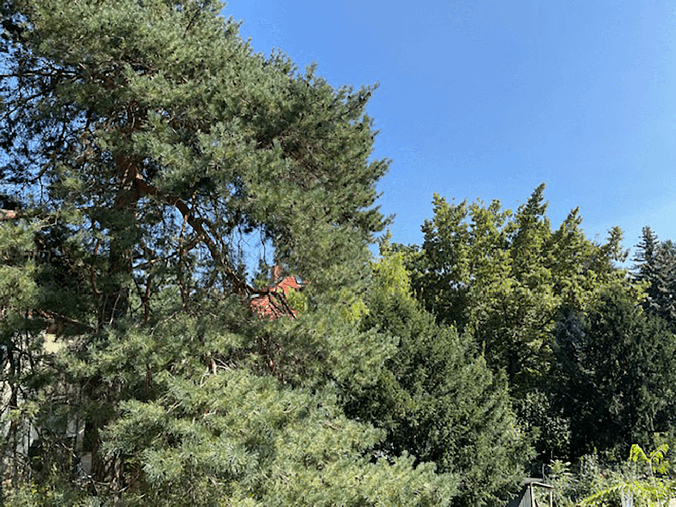 Prodej domu 90 m², pozemek 450 m², Berlin, Berlín Prodej domu 90 m², pozemek 450 m², Berlin, Berlín