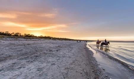 Prodej pozemku 999 m², Glowe, Mecklenburg-Vorpommern Prodej pozemku 999 m², Glowe, Mecklenburg-Vorpommern