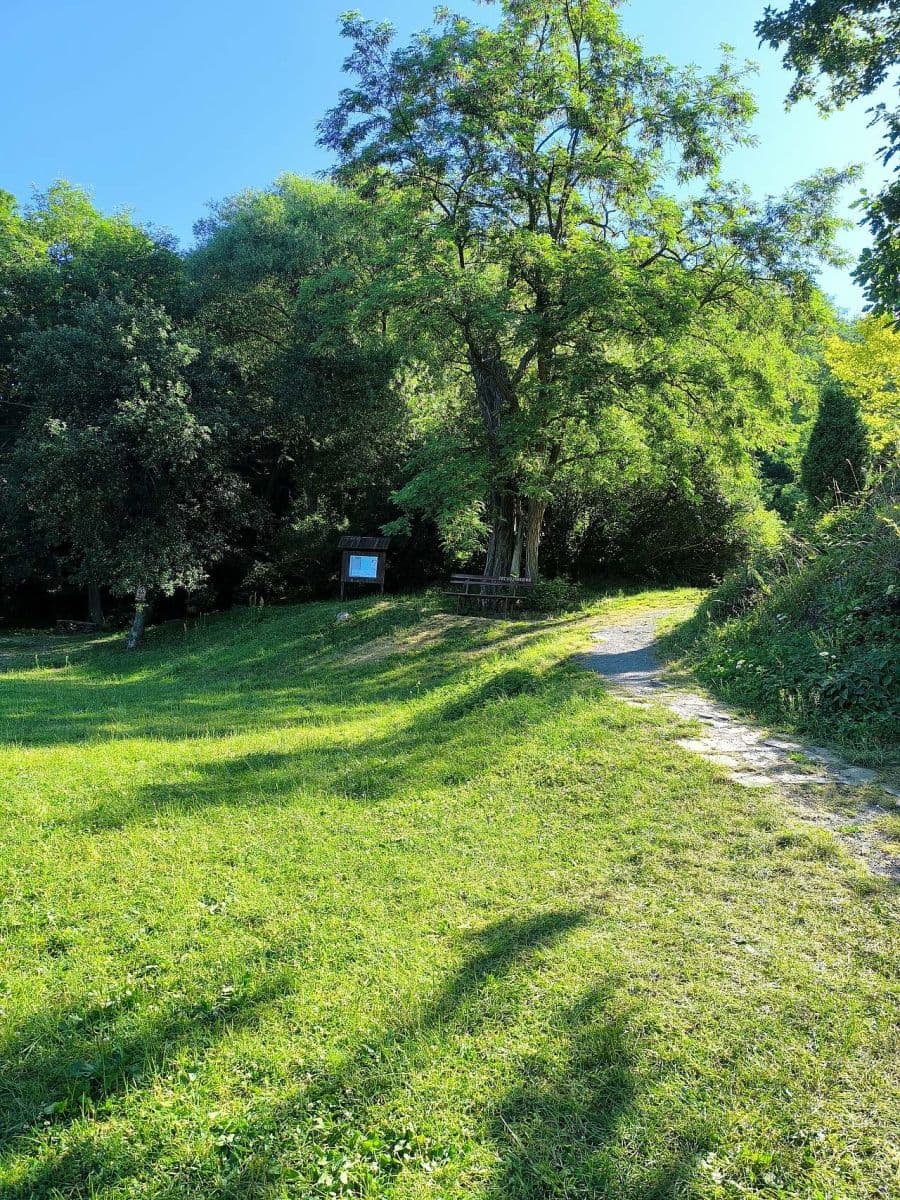 Pronájem chaty, chalupy, Branov, Středočeský kraj Pronájem chaty, chalupy, Branov, Středočeský kraj