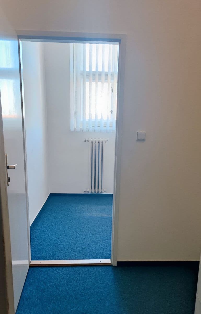 Pronájem kanceláře 129 m², Opletalova, Praha, Praha Pronájem kanceláře 129 m², Opletalova, Praha, Praha