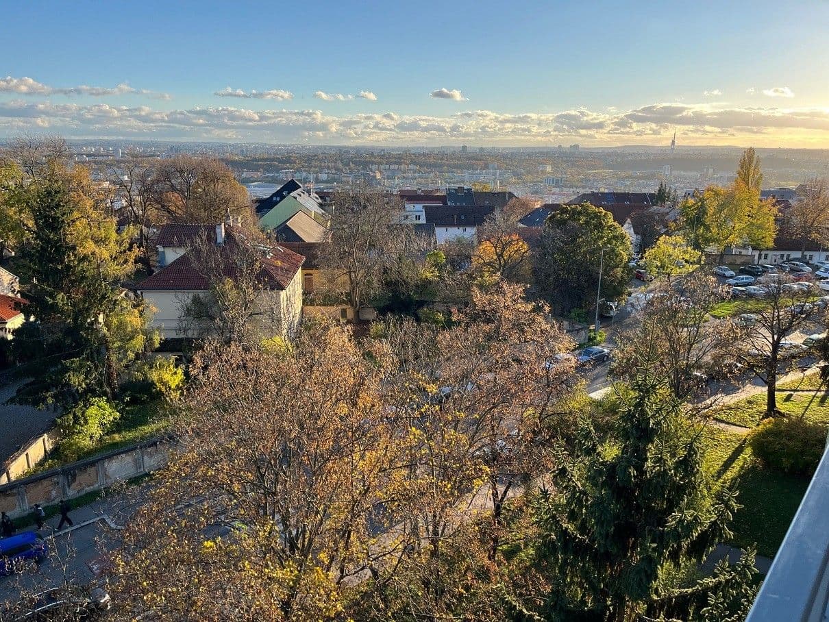 Pronájem bytu 1+1 30 m², Litoměřická, Praha, Praha Pronájem bytu 1+1 30 m², Litoměřická, Praha, Praha