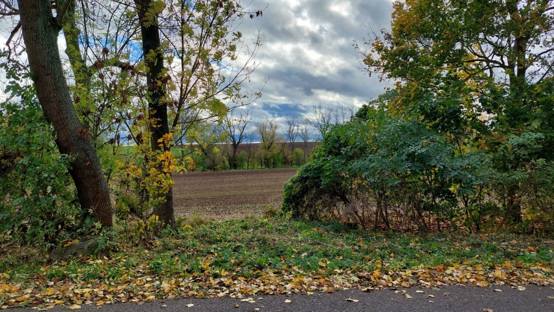 Prodej pozemku 1.090 m², Černuc, Středočeský kraj Prodej pozemku 1.090 m², Černuc, Středočeský kraj