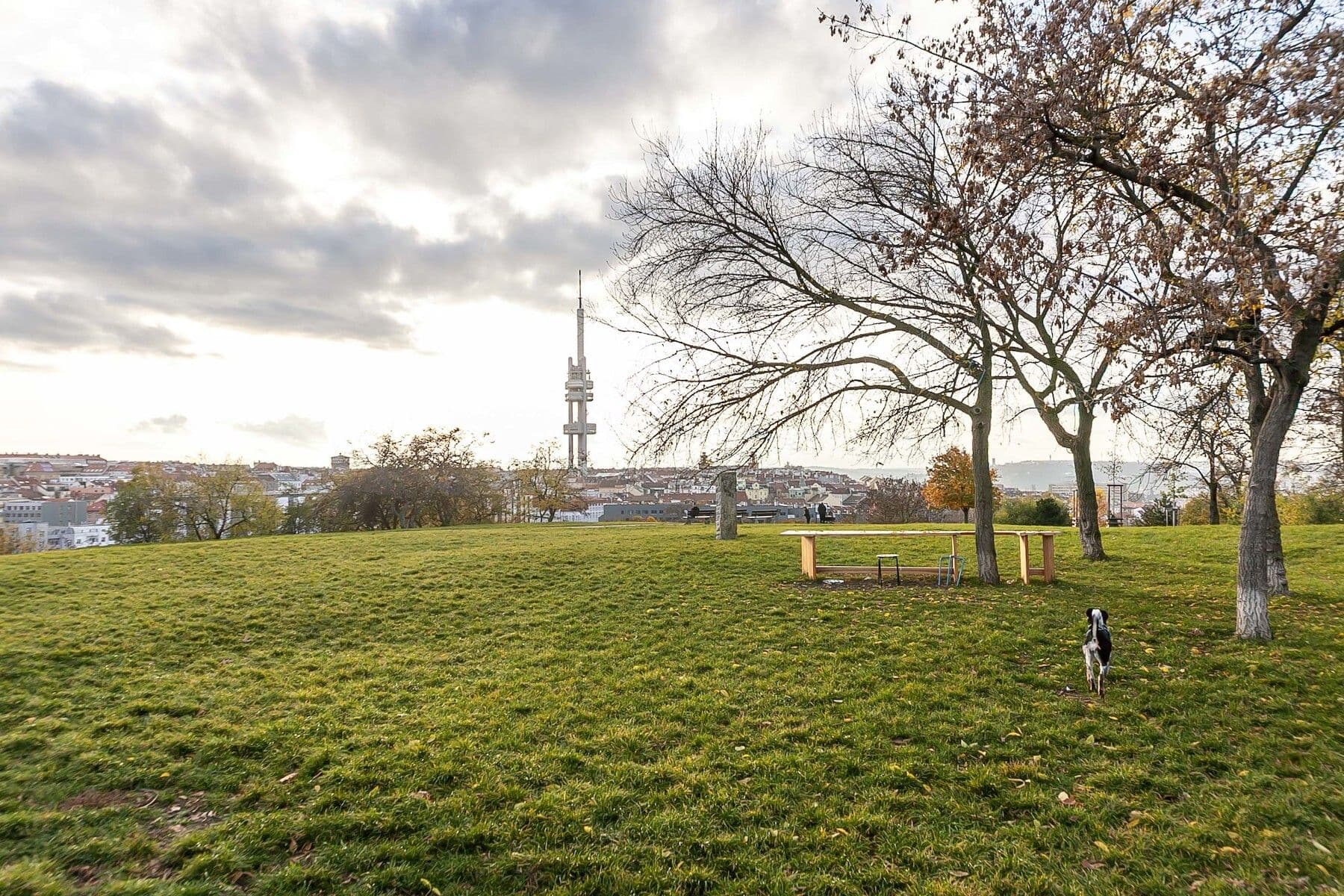 Prodej bytu 2+kk 56 m², Jana Želivského, Praha, Praha Prodej bytu 2+kk 56 m², Jana Želivského, Praha, Praha