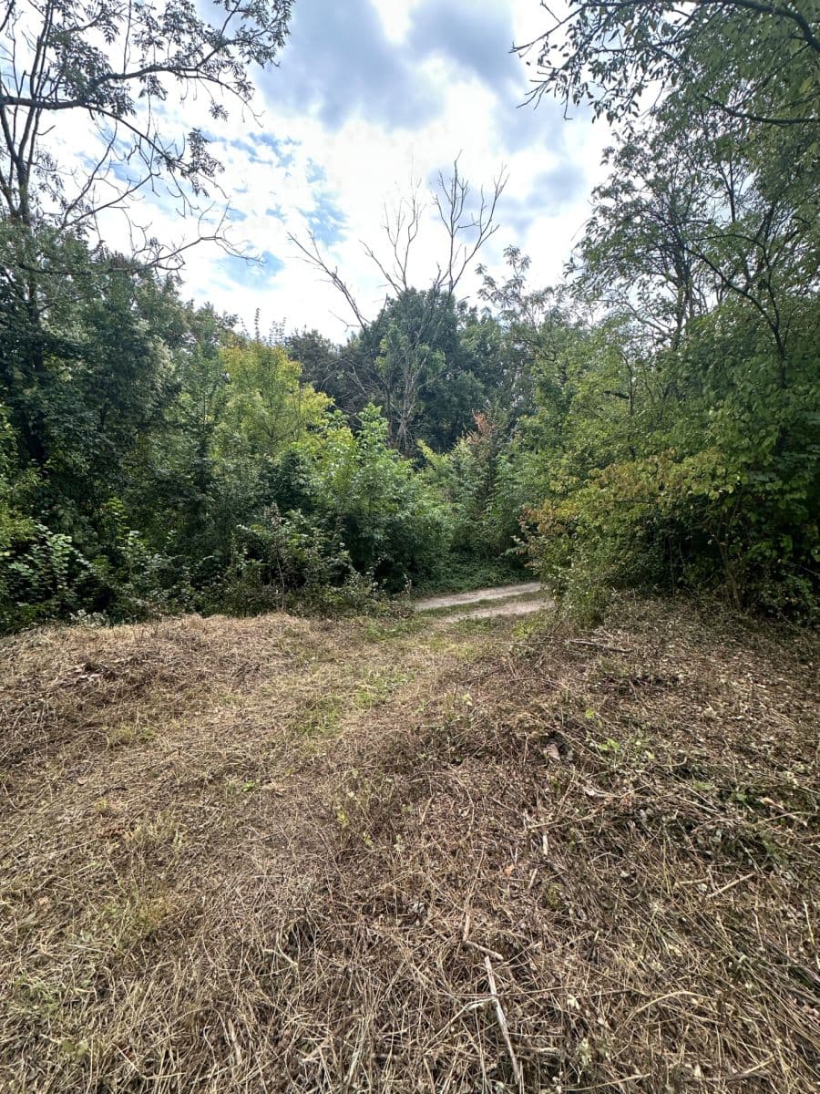 Prodej pozemku 504 m², Hoštka, Ústecký kraj Prodej pozemku 504 m², Hoštka, Ústecký kraj