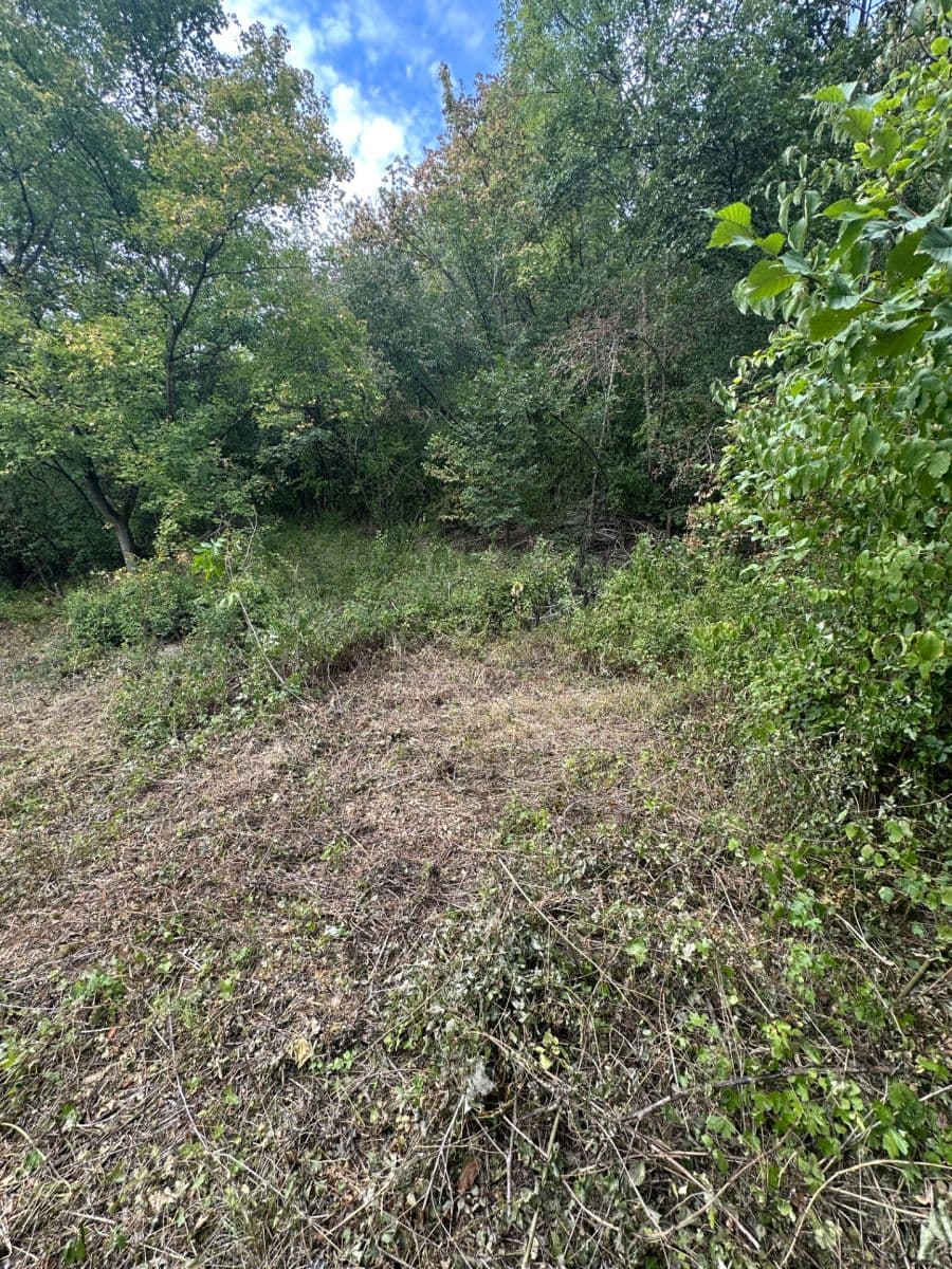 Prodej pozemku 504 m², Hoštka, Ústecký kraj Prodej pozemku 504 m², Hoštka, Ústecký kraj