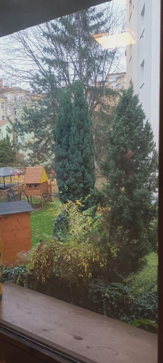 Pronájem bytu 1+kk 20 m², Lidická, Brno, Jihomoravský kraj Pronájem bytu 1+kk 20 m², Lidická, Brno, Jihomoravský kraj