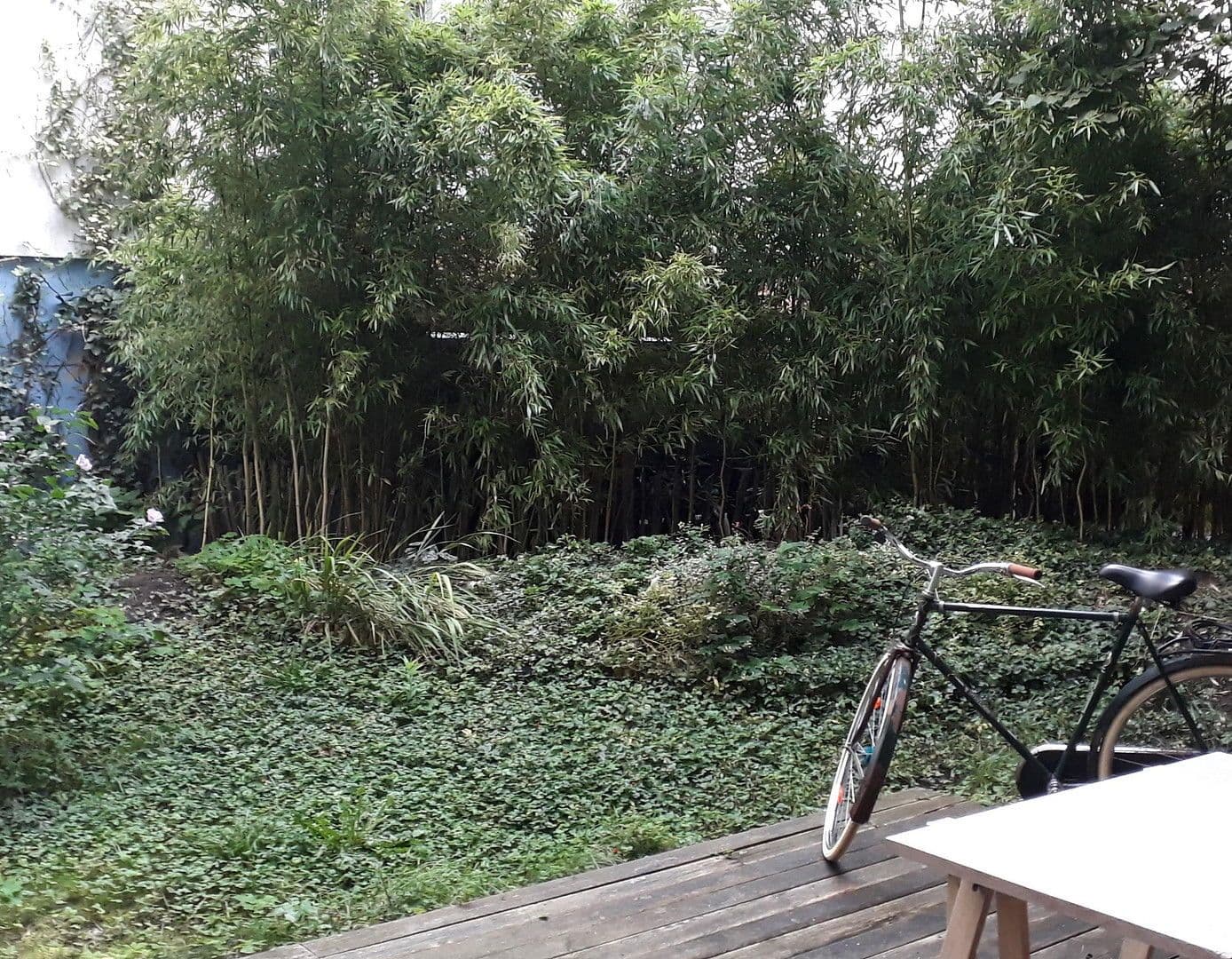 Pronájem bytu 2+1 55 m², Ebelingstr.4, berlin, Berlín Pronájem bytu 2+1 55 m², Ebelingstr.4, berlin, Berlín