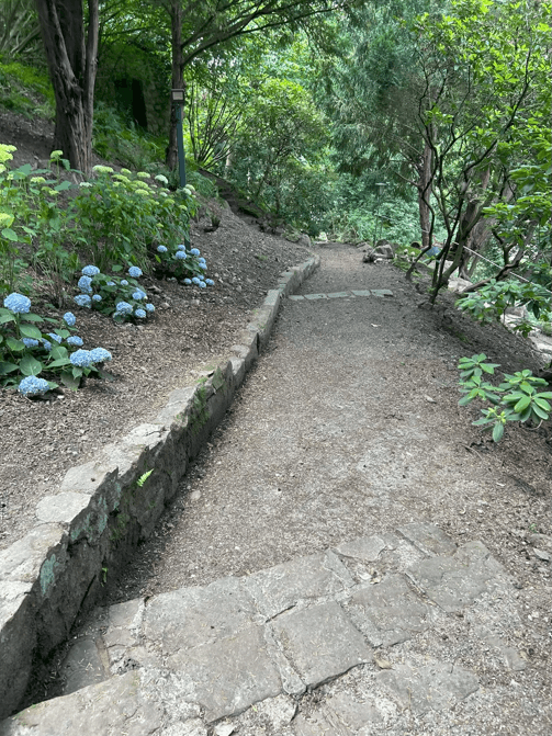 Pronájem bytu 260 m², Hausackerweg 6, Heidelberg, Allemagne, Bádensko-Württembersko Pronájem bytu 260 m², Hausackerweg 6, Heidelberg, Allemagne, Bádensko-Württembersko