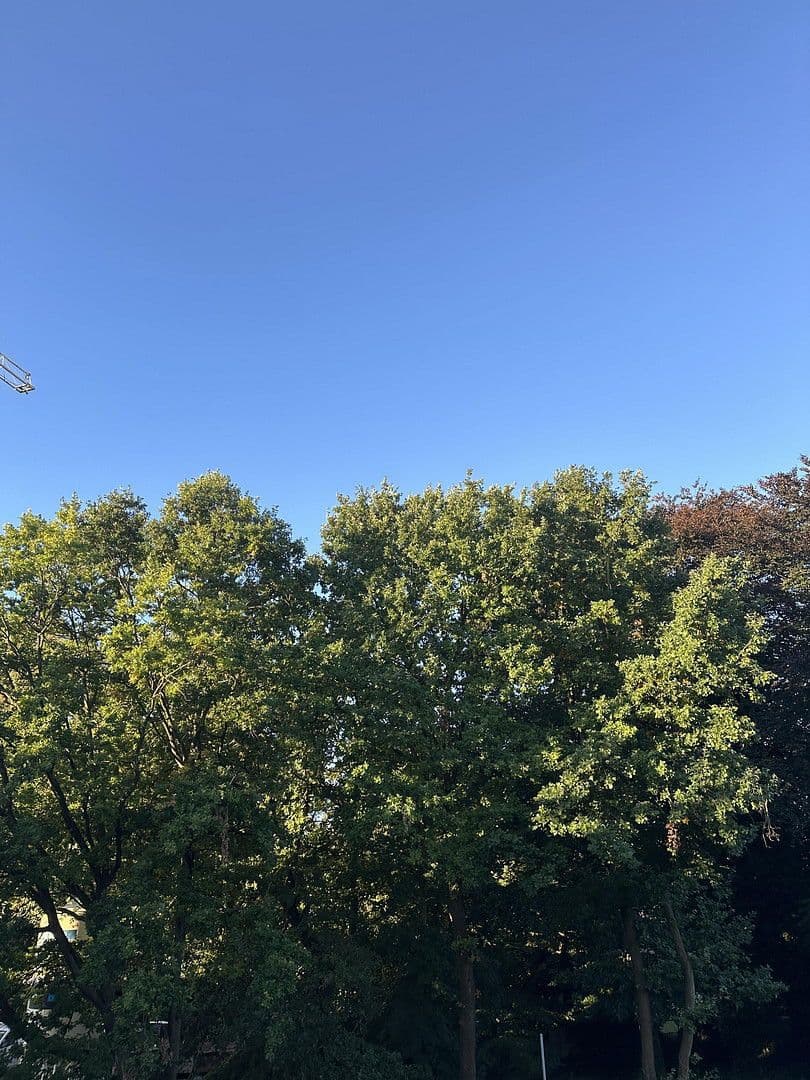 Pronájem bytu 3+1 81 m², Hamburg, Hamburg Pronájem bytu 3+1 81 m², Hamburg, Hamburg