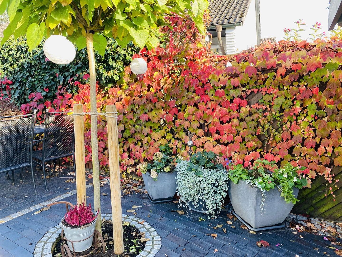 Prodej domu 150 m², pozemek 633 m², Mölln, Šlesvicko-Holštýnsko Prodej domu 150 m², pozemek 633 m², Mölln, Šlesvicko-Holštýnsko