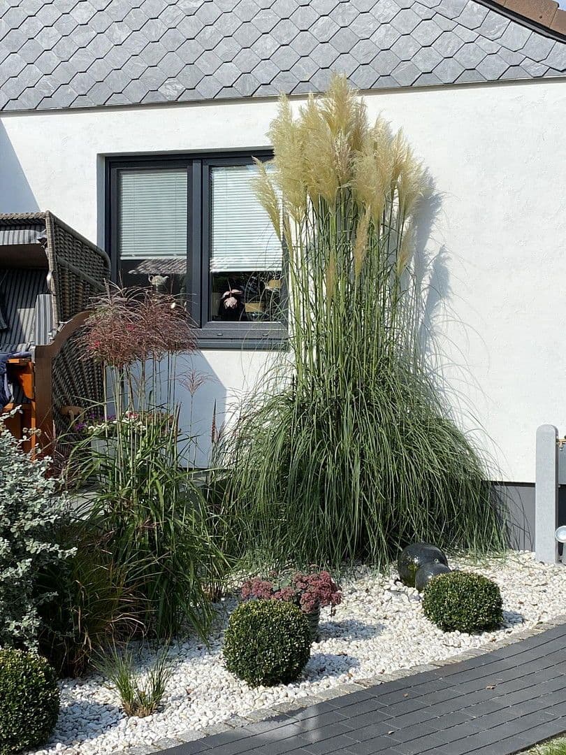 Prodej domu 150 m², pozemek 633 m², Mölln, Šlesvicko-Holštýnsko Prodej domu 150 m², pozemek 633 m², Mölln, Šlesvicko-Holštýnsko