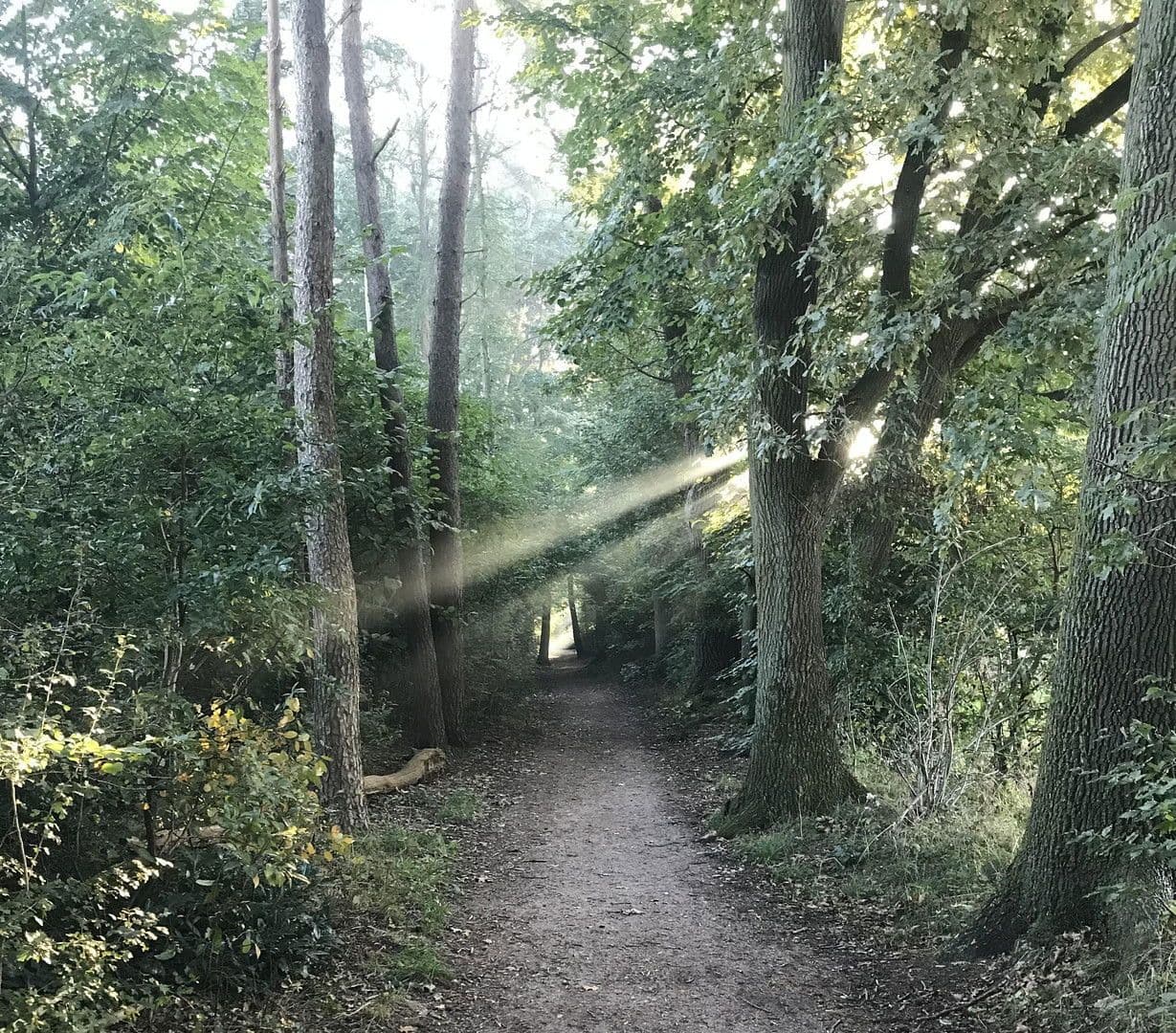 Prodej domu 134 m², pozemek 320 m², Hamburg, Hamburg Prodej domu 134 m², pozemek 320 m², Hamburg, Hamburg