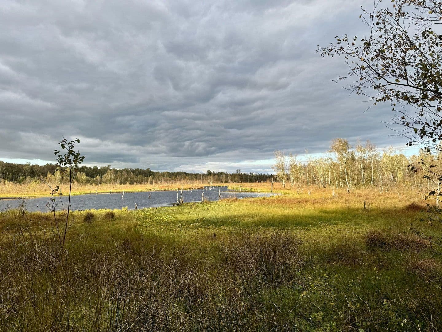 Prodej domu 134 m², pozemek 320 m², Hamburg, Hamburg Prodej domu 134 m², pozemek 320 m², Hamburg, Hamburg