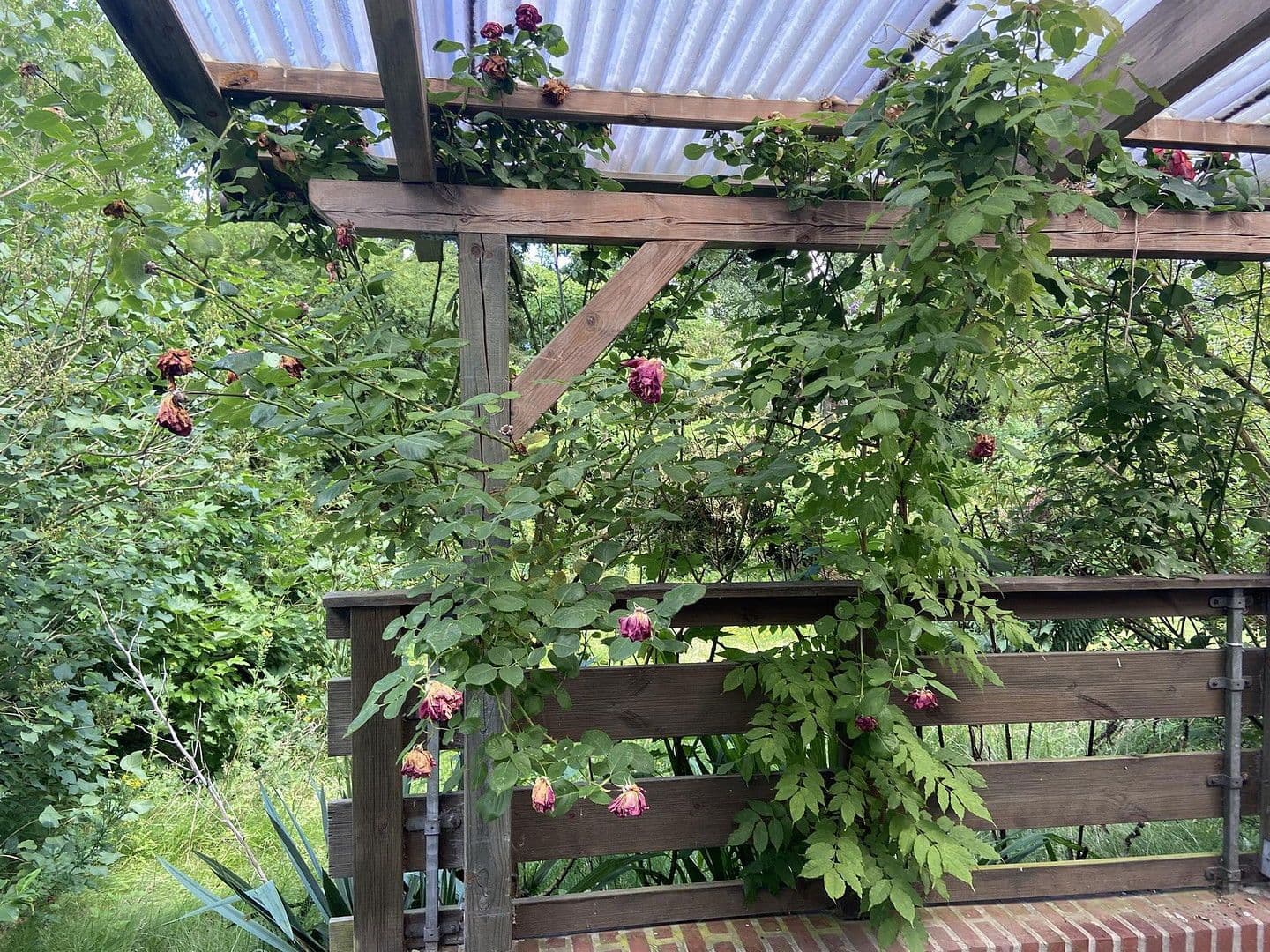 Prodej domu 86 m², pozemek 333 m², Reinbek, Šlesvicko-Holštýnsko Prodej domu 86 m², pozemek 333 m², Reinbek, Šlesvicko-Holštýnsko