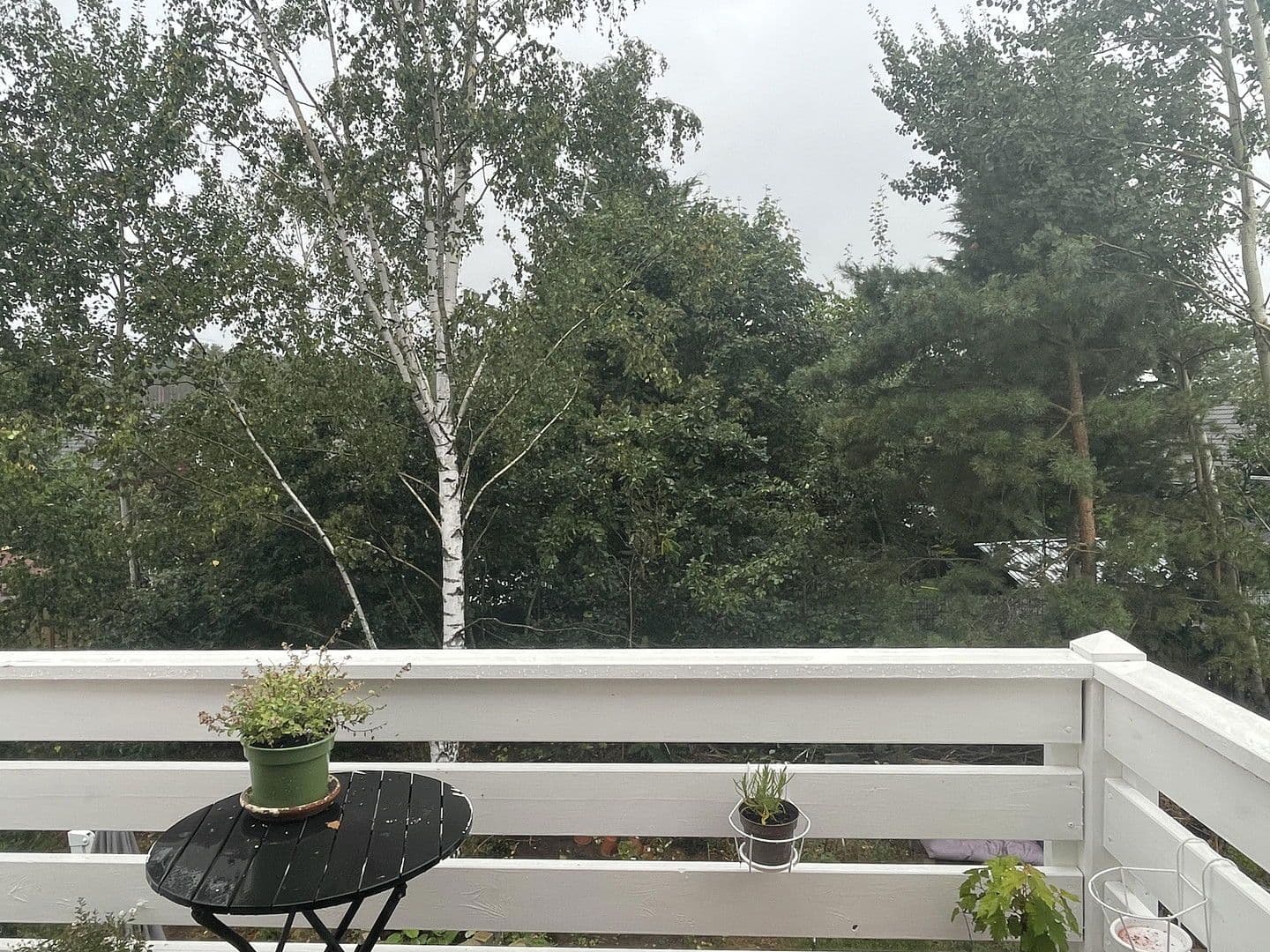 Prodej domu 136 m², pozemek 505 m², Borkwalde, Braniborsko Prodej domu 136 m², pozemek 505 m², Borkwalde, Braniborsko