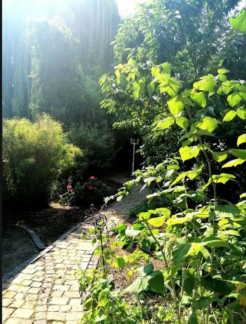 Pronájem bytu 4+1 111 m², Kleiner Zimmerhof 16, Wolfenbüttel, Dolní Sasko Pronájem bytu 4+1 111 m², Kleiner Zimmerhof 16, Wolfenbüttel, Dolní Sasko