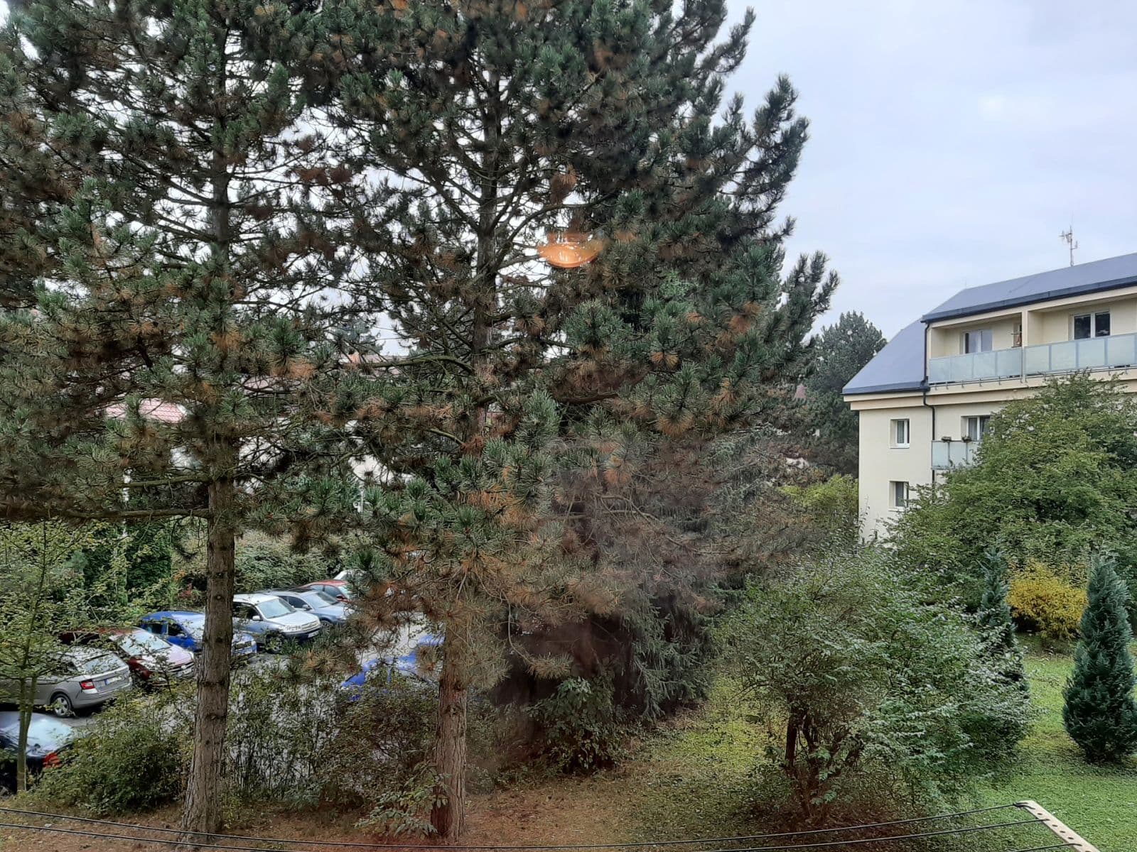 Pronájem bytu 2+1 50 m², Klecany, Středočeský kraj Pronájem bytu 2+1 50 m², Klecany, Středočeský kraj