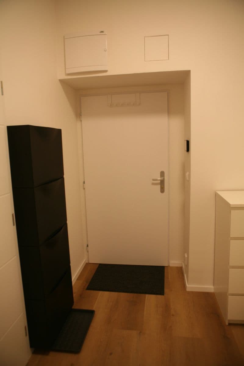 Pronájem bytu 1+kk 19 m², U Tyrše, Praha, Praha Pronájem bytu 1+kk 19 m², U Tyrše, Praha, Praha