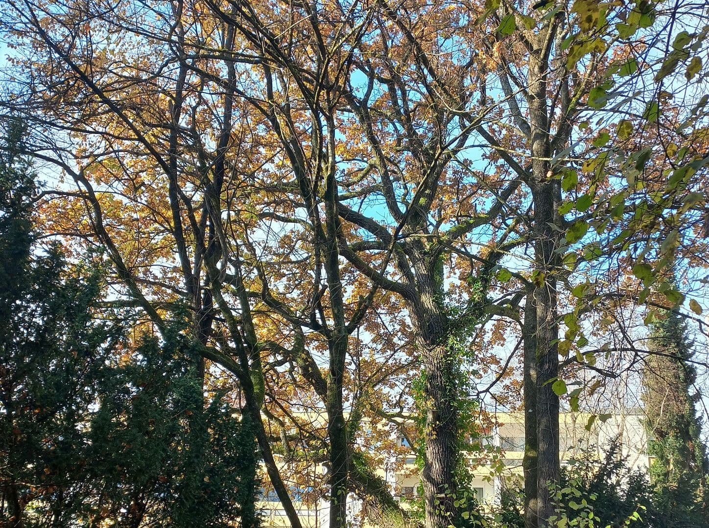 Prodej bytu 3+1 78 m², Bergstraße 16, Krailling, Bavorsko Prodej bytu 3+1 78 m², Bergstraße 16, Krailling, Bavorsko