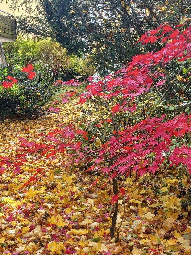 Prodej bytu 3+1 78 m², Bergstraße 16, Krailling, Bavorsko Prodej bytu 3+1 78 m², Bergstraße 16, Krailling, Bavorsko