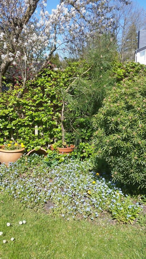 Pronájem domu 143 m², pozemek 300 m², Fröbelstraße 10, Burgwedel, Dolní Sasko Pronájem domu 143 m², pozemek 300 m², Fröbelstraße 10, Burgwedel, Dolní Sasko