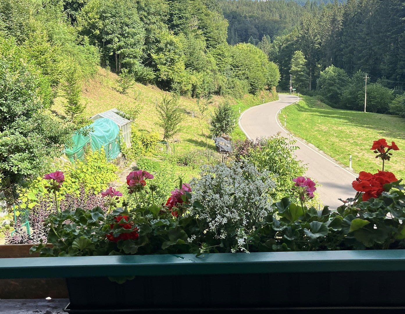 Prodej domu 263 m², pozemek 17.301 m², Wildschapbachstraße 6, Bad Rippoldsau-Schapbach, Bádensko-Württembersko Prodej domu 263 m², pozemek 17.301 m², Wildschapbachstraße 6, Bad Rippoldsau-Schapbach, Bádensko-Württembersko