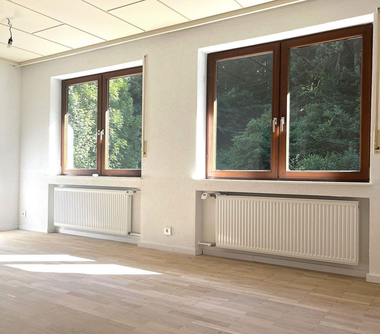 Prodej domu 263 m², pozemek 17.301 m², Wildschapbachstraße 6, Bad Rippoldsau-Schapbach, Bádensko-Württembersko Prodej domu 263 m², pozemek 17.301 m², Wildschapbachstraße 6, Bad Rippoldsau-Schapbach, Bádensko-Württembersko