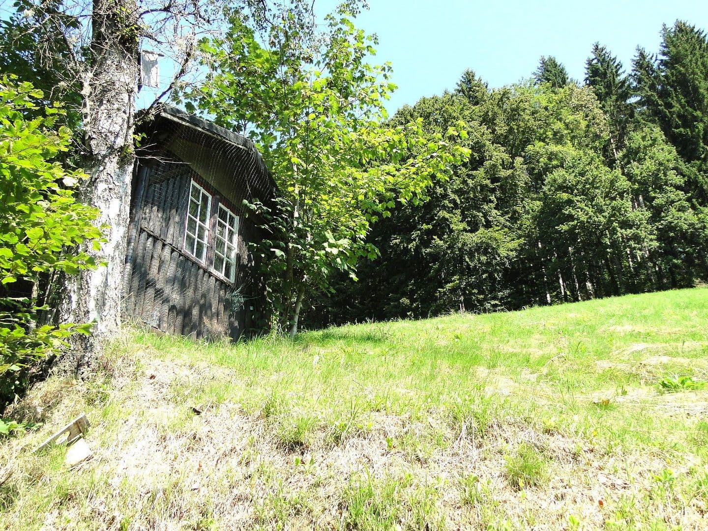 Prodej domu 263 m², pozemek 17.301 m², Wildschapbachstraße 6, Bad Rippoldsau-Schapbach, Bádensko-Württembersko Prodej domu 263 m², pozemek 17.301 m², Wildschapbachstraße 6, Bad Rippoldsau-Schapbach, Bádensko-Württembersko