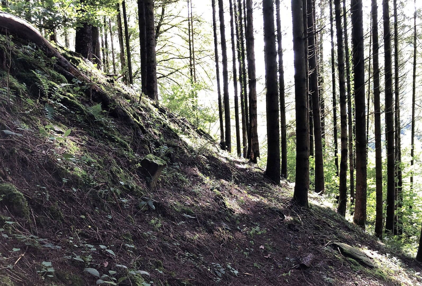 Prodej domu 263 m², pozemek 17.301 m², Wildschapbachstraße 6, Bad Rippoldsau-Schapbach, Bádensko-Württembersko Prodej domu 263 m², pozemek 17.301 m², Wildschapbachstraße 6, Bad Rippoldsau-Schapbach, Bádensko-Württembersko