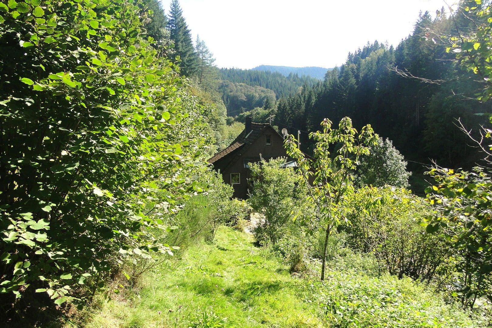 Prodej domu 263 m², pozemek 17.301 m², Wildschapbachstraße 6, Bad Rippoldsau-Schapbach, Bádensko-Württembersko Prodej domu 263 m², pozemek 17.301 m², Wildschapbachstraße 6, Bad Rippoldsau-Schapbach, Bádensko-Württembersko