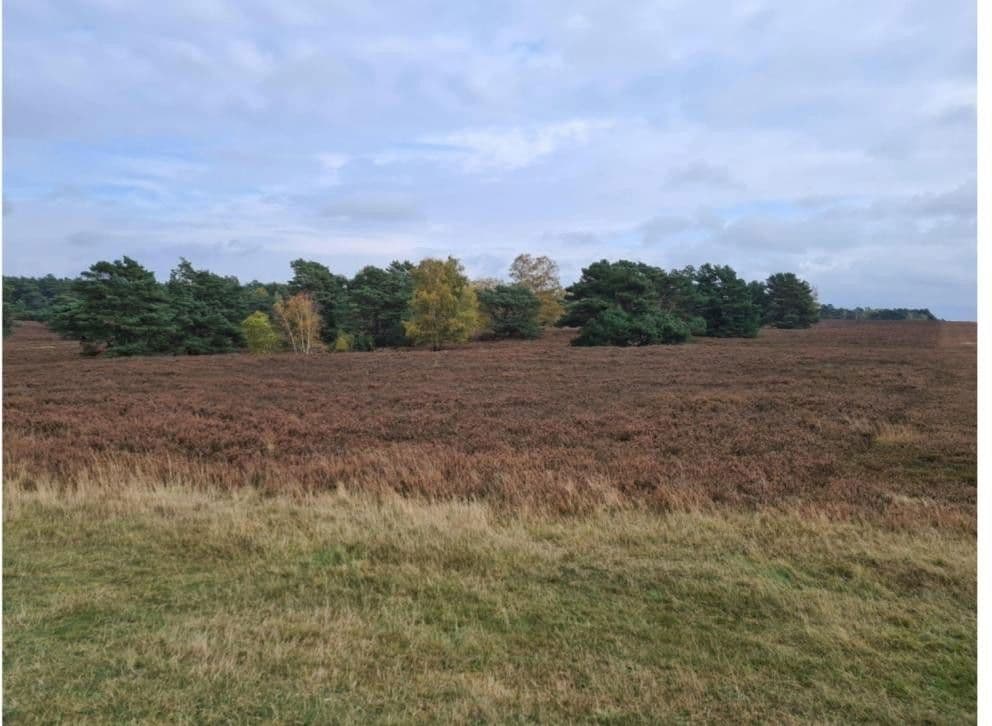 Prodej domu 111 m², pozemek 125 m², Wulmstorfer Ring, Hamburg, Hamburg Prodej domu 111 m², pozemek 125 m², Wulmstorfer Ring, Hamburg, Hamburg