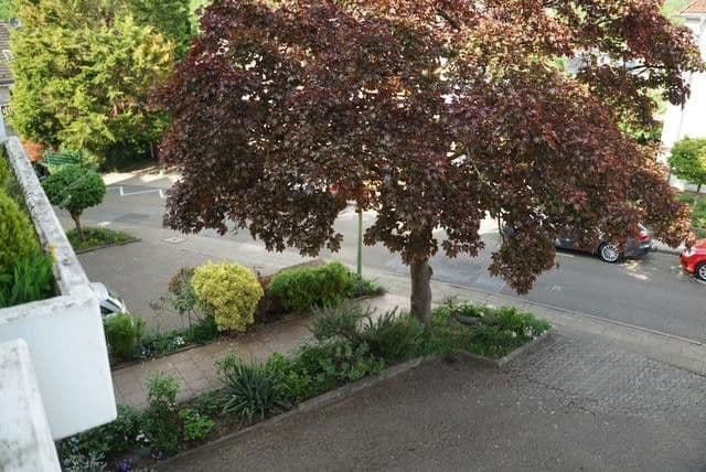 Prodej bytu 4+1 147 m², Habichtstr. 25, Essen, Severní Porýní-Vestfálsko Prodej bytu 4+1 147 m², Habichtstr. 25, Essen, Severní Porýní-Vestfálsko