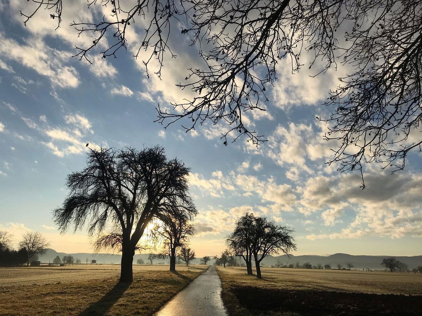 Prodej domu 150 m², pozemek 399 m², Kirchentellinsfurt, Bádensko-Württembersko Prodej domu 150 m², pozemek 399 m², Kirchentellinsfurt, Bádensko-Württembersko
