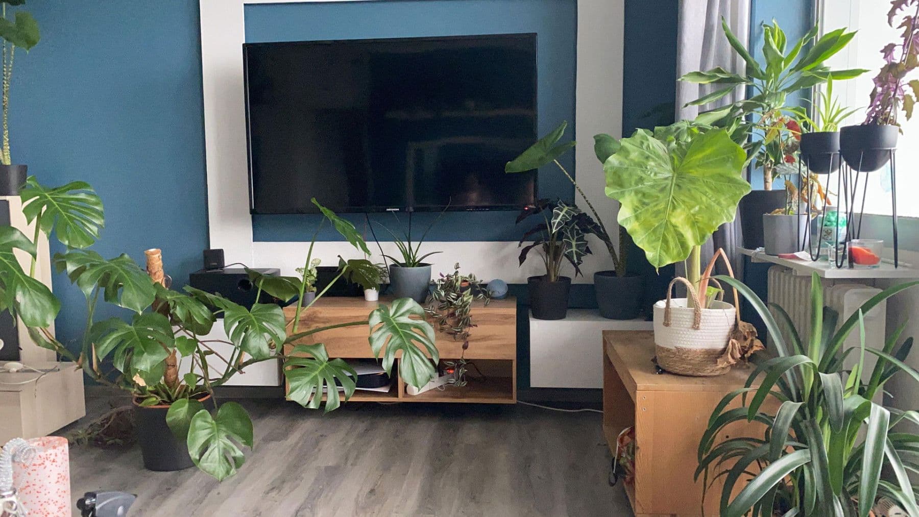 Prodej bytu 2+kk 69 m², Nelkenstrasse 3, Buseck, Hessen Prodej bytu 2+kk 69 m², Nelkenstrasse 3, Buseck, Hessen