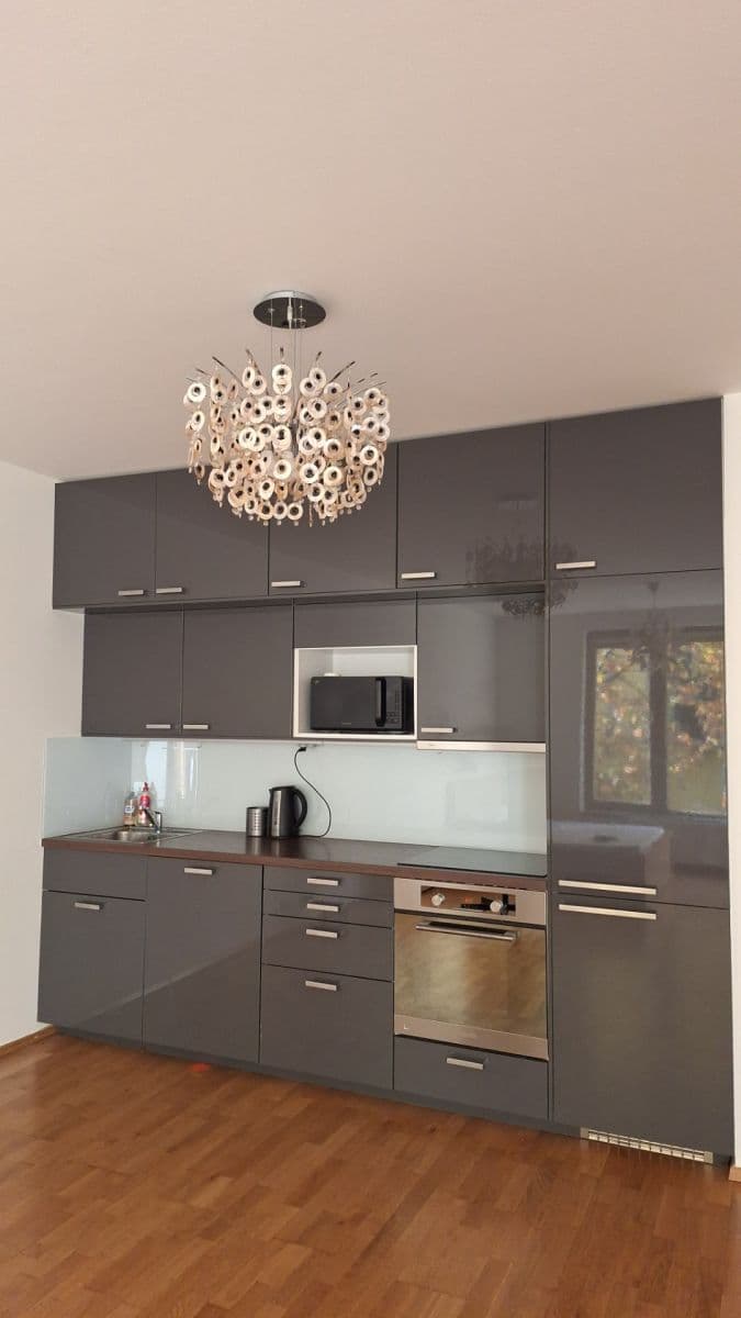 Pronájem bytu 1+kk 47 m², Jeseniova, Praha, Praha Pronájem bytu 1+kk 47 m², Jeseniova, Praha, Praha