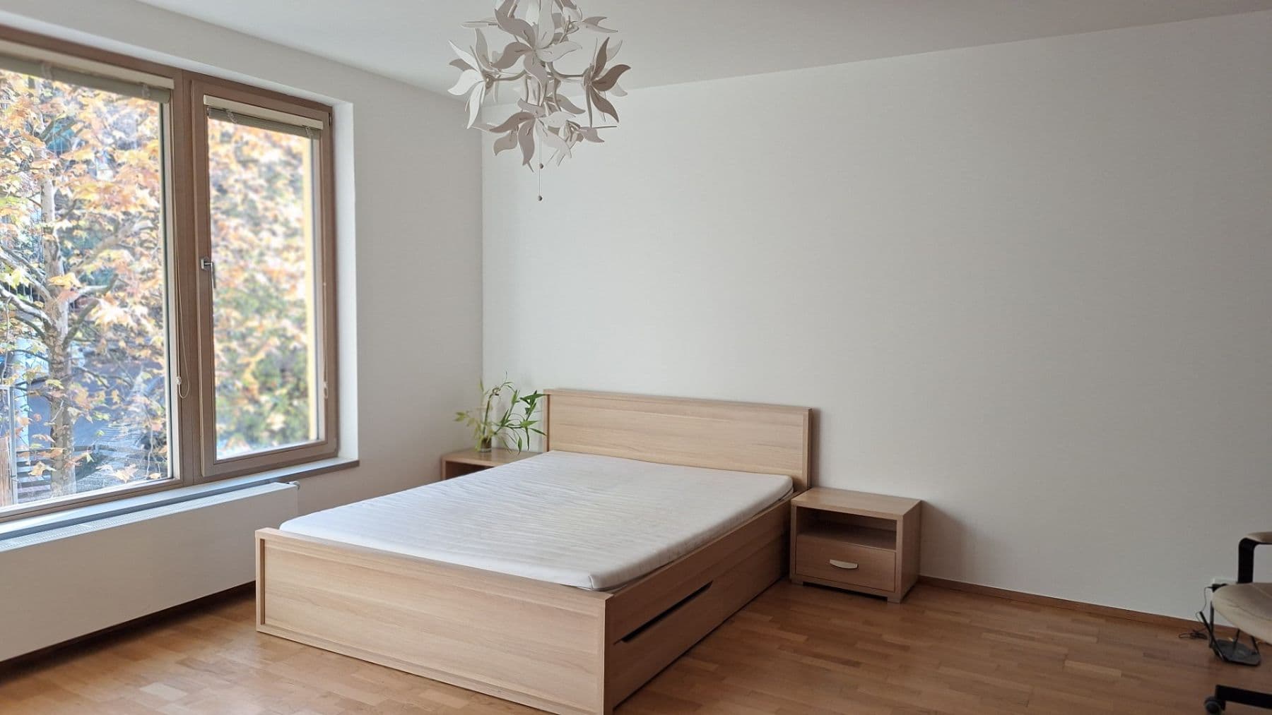 Pronájem bytu 1+kk 47 m², Jeseniova, Praha, Praha Pronájem bytu 1+kk 47 m², Jeseniova, Praha, Praha