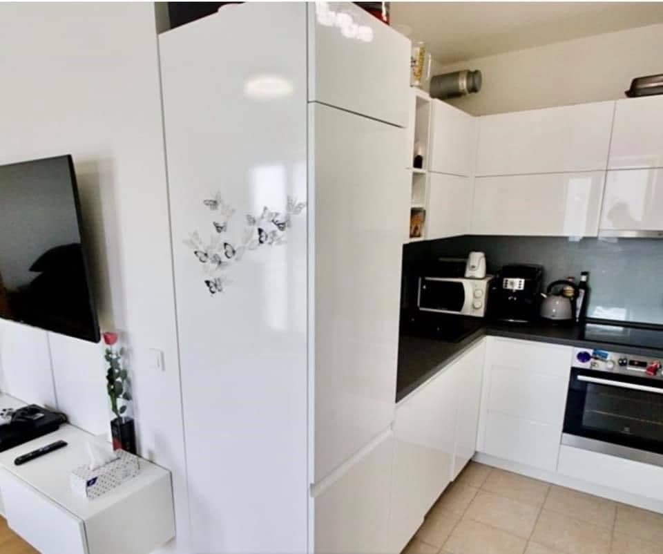 Pronájem bytu 1+kk 42 m², Davidovičova, Praha, Praha Pronájem bytu 1+kk 42 m², Davidovičova, Praha, Praha