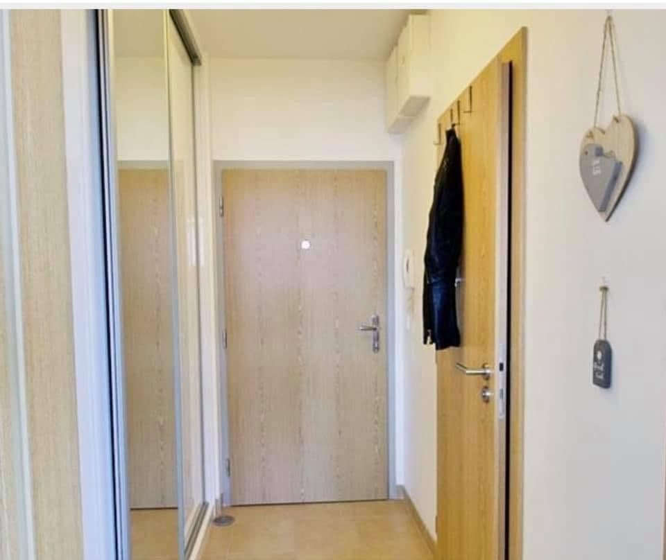 Pronájem bytu 1+kk 42 m², Davidovičova, Praha, Praha Pronájem bytu 1+kk 42 m², Davidovičova, Praha, Praha