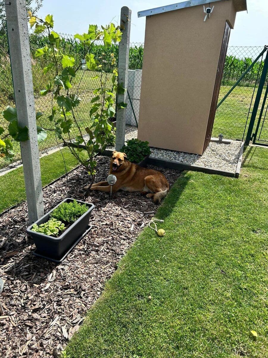 Prodej chaty, chalupy 340 m², pozemek 340 m², 401, Lipník, Kraj Vysočina Prodej chaty, chalupy 340 m², pozemek 340 m², 401, Lipník, Kraj Vysočina