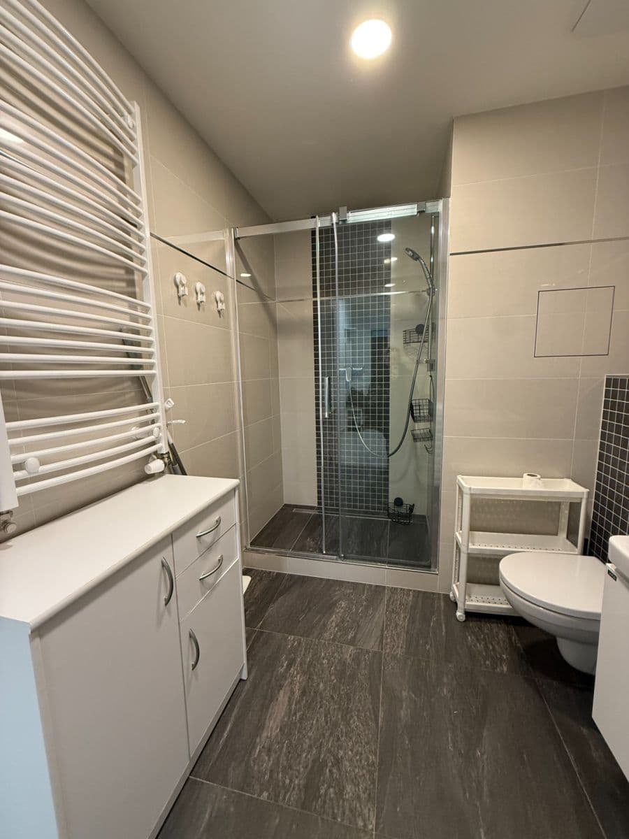 Pronájem bytu 1+kk 38 m², Mantovská, Praha, Praha Pronájem bytu 1+kk 38 m², Mantovská, Praha, Praha