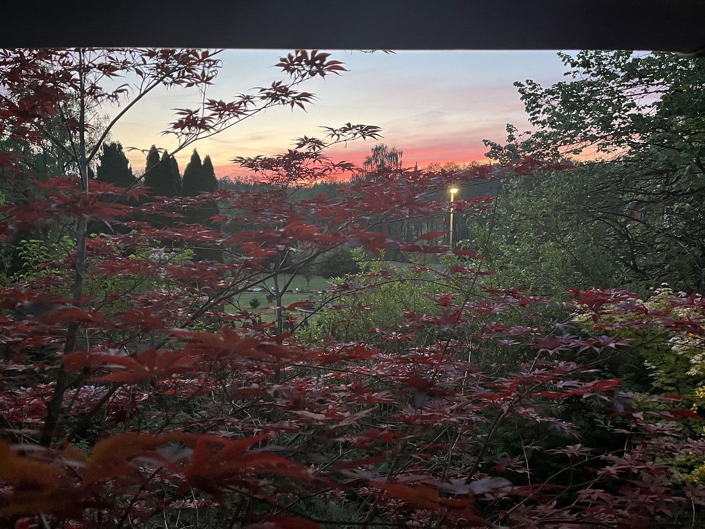 Prodej domu 109 m², pozemek 820 m², Tosterglope, Dolní Sasko Prodej domu 109 m², pozemek 820 m², Tosterglope, Dolní Sasko